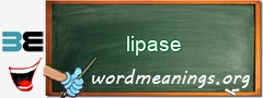 WordMeaning blackboard for lipase